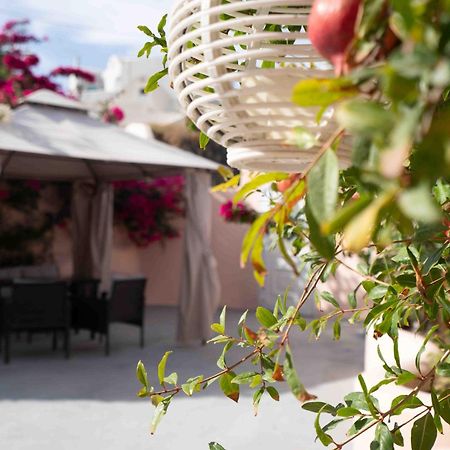 Bird Nest-Santorini Cave Houses Тира Экстерьер фото