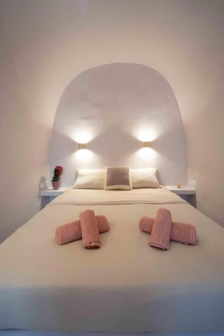 Bird Nest-Santorini Cave Houses Тира Экстерьер фото