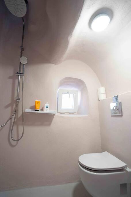 Bird Nest-Santorini Cave Houses Тира Экстерьер фото